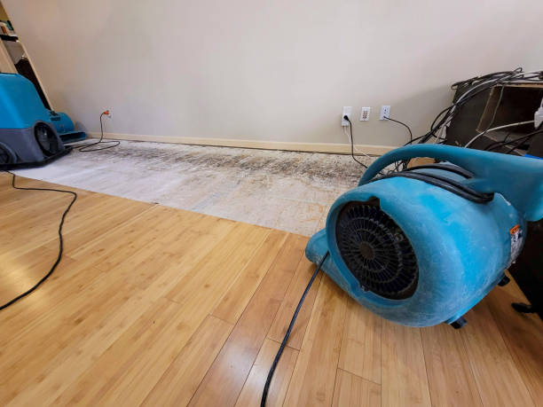 Professional Flood Damage Cleanup technician working in Oak Park, CA